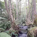 In La Chapelle With Garden Ferienhaus Bains-les-Bains