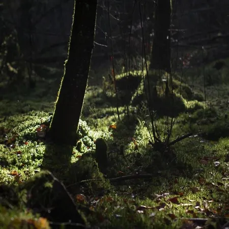 In La Chapelle With Garden