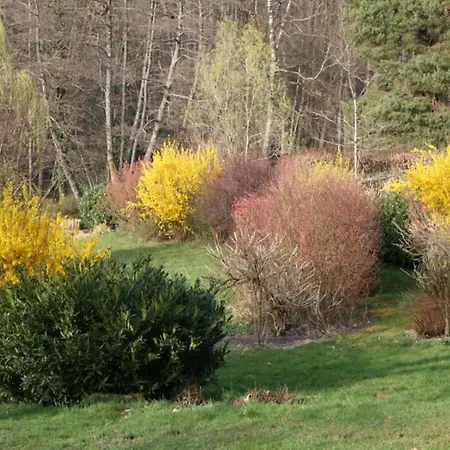 In La Chapelle With Garden Bains-les-Bains