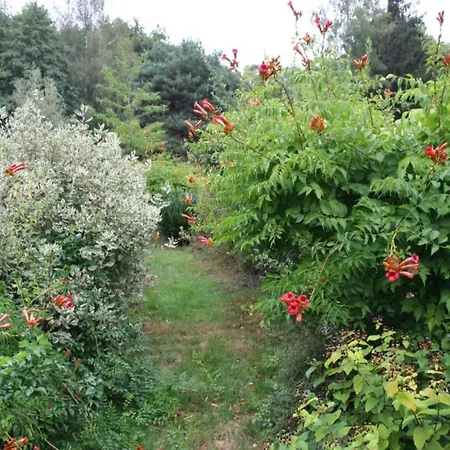 In La Chapelle With Garden Ferienhaus