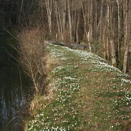 In La Chapelle With Garden Feriehus Bains-les-Bains