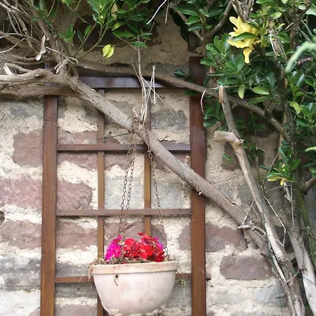 Near Chapelle Aux Bois Holiday home